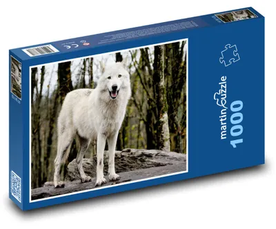 Obrázek produktu pro Puzzle 1000 Vlk v zimním lese - martinpuzzle