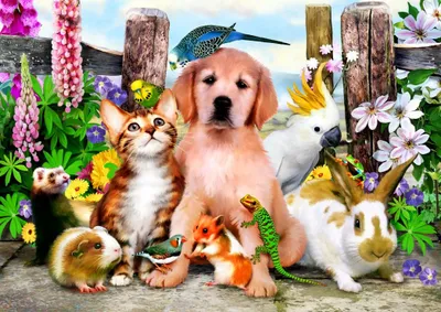 Image de Casse-tête Bluebird Puzzle Good Companions - 500 Teile bunt