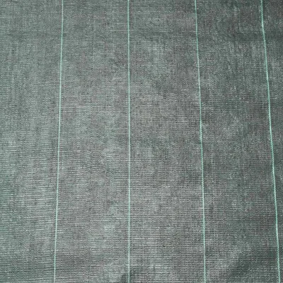 Image de Toile de paillage Nature 2,1 x 25 m, noire