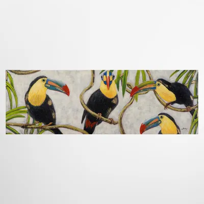 Produktbild von ArtUniverse Leinwandbild Farbenfrohe Tukane 50 x 150 cm