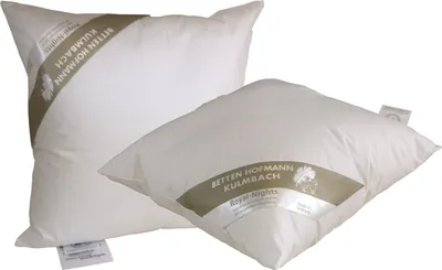Produktbild von 2 Stück Hofmann Kleinkissen 45x45 cm 300 g Kuschelkissen Sofakissen Dekokissen