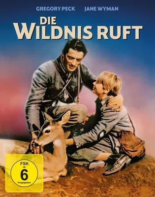 Obrázok produktu pre Die Wildnis ruft (Mediabook, Blu-ray+DVD)