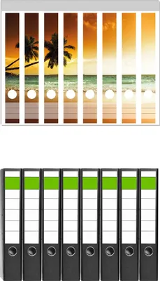 Produktbild von Wallario 8 Stück schmale Ordner inkl. Klebeetiketten mit Motive Palmen am Sandstrand bei untergehender Sonne -  Set mit Rückenschildern / Ordnerrücken Stickern