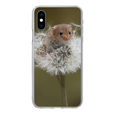 Produktbild von MuchoWow® Handyhülle Schutzhülle Hülle für iPhone X Maus - Jung - Blumen Silikon Softcase Handy Hülle - Handyhülle