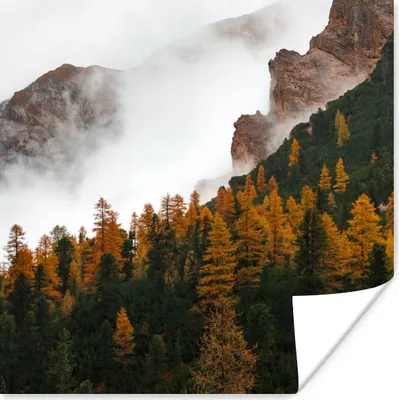 Produktbild von MuchoWow® Poster Kiefer - Herbst - Berg - Landschaft 75x75 cm - Wand Dekoration