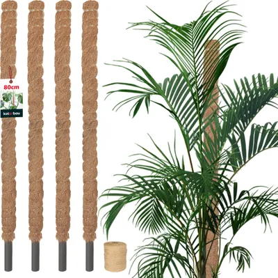 Produktbild von KOTARBAU® 4er Set Moosstab für Monstera ⌀ 2,5x80cm Rankhilfe für Zimmerpflanzen Pflanzstab Kokosstab  Pflanzenstütze aus Kokosfaser Braun