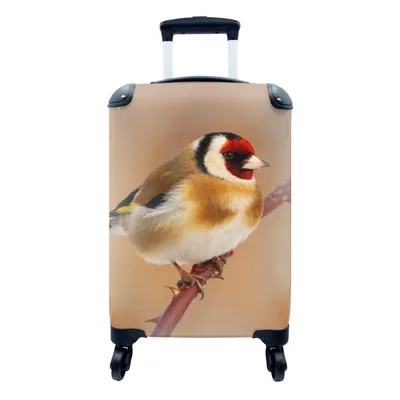 Produktbild von MuchoWow® Koffer Handgepäck Trolley Rollkoffer Kleine Reisekoffer mit 4 Rollen - Kropftaube - Vogel - Tiere - Cabin Size < 55x40x23 cm & 55x40x20 cm - Fotokoffer - Kabinenkoffer - Boardgepäck - Reise-Box - Reisekoffer - Reisegepäck - Koffer mit Bild - Trolley für Kinder