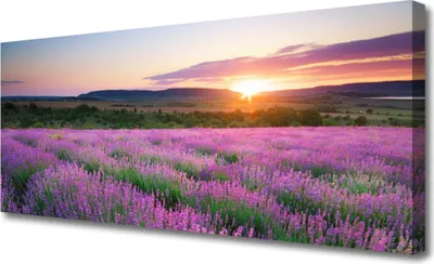 Produktbild von Tulup Leinwand-Bilder 125x50 Wandbild Canvas Kunstdruck Sonne Wiese Blumen Natur