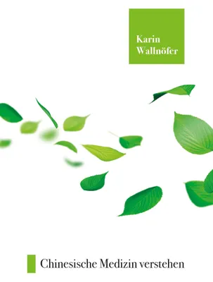 Produktbild von Chinesische Medizin verstehen