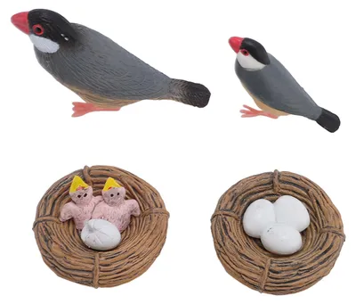 Produktbild von Vogelmodell-Set, simulierter Wachstumszyklus, Brutspielzeug für Sandkastendekoration und frühe Bildung