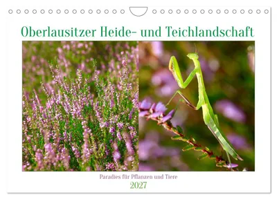 Produktbild von Oberlausitzer Heide- und Teichlandschaft (Wandkalender 2027 DIN A4 quer), CALVENDO Monatskalender
