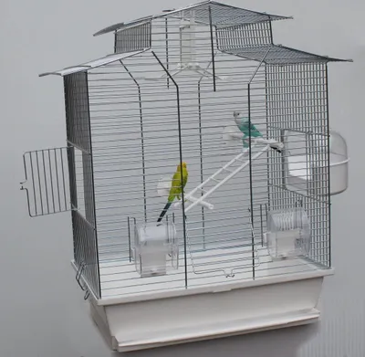 Produktbild von Vogelkäfig,Wellensittichkäfig,Exotenkäfig,60 cm Vogelkäfig Vogelbauer Wellensittich Kanarien Voliere Vogelhaus Käfig IZA 2 II weiss