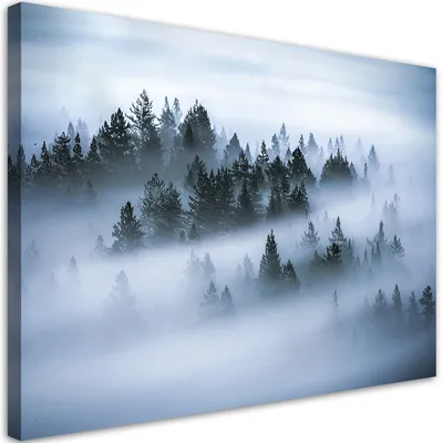 Produktbild von Leinwandbild Wald in Nebel-Landschaft 60x40 Feeby Grau bild für die wand bereit zum aufhängen