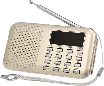 Produktbild von Y-896 Mini-FM-Radio, tragbares Radio, Hi-Fi-Klangqualität, 2-Zoll-Bildschirm, unterstützt USB-Laufwerk/TF-Karte/AUX-IN/Kopfhörerausgang, Gold
