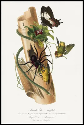 Immagine prodotto di Poster 61x91,5 cm Lamparcik Żółtorzytny, Gervais Vintage per il salotto