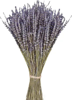 Produktbild von 1 Schachtel natürlicher getrockneter Lavendel, farbecht, süßer Duft, kein Gießen, Hochzeitsdeko, Nachttisch, besseres Schlafen, Blumenarrangement, natürliche Pflanzen