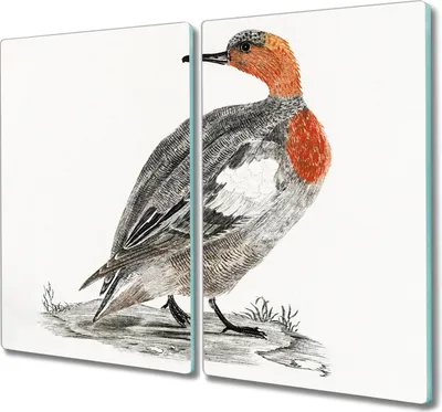 Produktbild von Coloray Hackbrett Kochplattenabdeckung Herdabdeckplatte 2x30x52 cm Schneidebrett Küchenbrett - Tier Vogel Ente