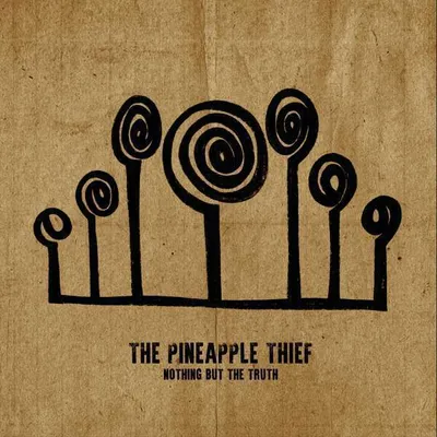 Produktbild von The Pineapple Thief: Nothing But The Truth - - (Vinyl / Pop (Vinyl))
