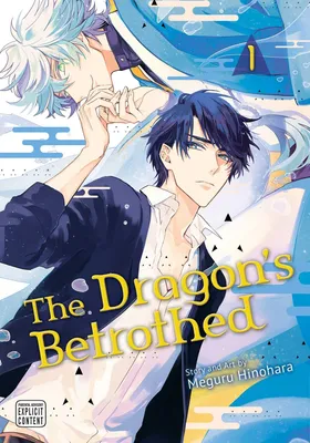 Produktbild von The Dragon's Betrothed, Vol. 1
