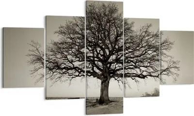 Produktbild von Bild auf Leinwand - Leinwandbild - 5 Teile - Baum Schnee Sepia - 125x70cm - Wand Bild - Wanddeko - Wandbilder - Leinwanddruck - Bilder - Wanddekoration - Leinwand bilder - Wandbild - EA125x70-4161