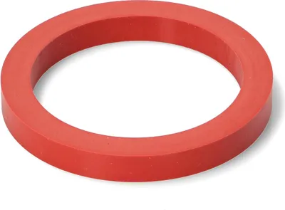 A red circular gasket or washer.