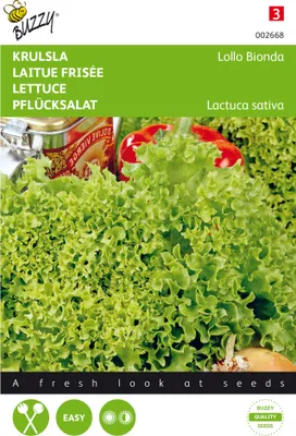 Artikelbild 1 von 'Pflücksalat Lollo Bionda' aus der Kategorie Pflücksalatsamen