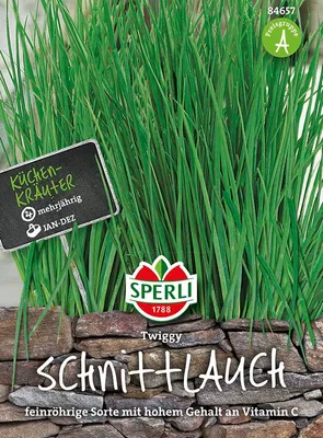 Produktbild von Schnittlauch Twiggy | Schnittlauchsamen von Sperli [MHD 01/2024]