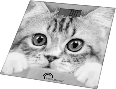 Immagine prodotto di Bilancia pesapersone LITTLE BALANCE The Cat, 180 kg, precisione 100 g, design Delphine Ribeyre, ampio display LCD, vetro temperato