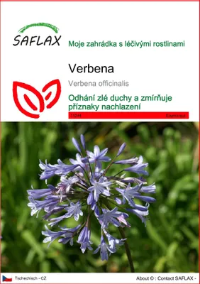 Obrázek produktu pro SAFLAX - Verbena - Verbena officinalis - 250 Semena