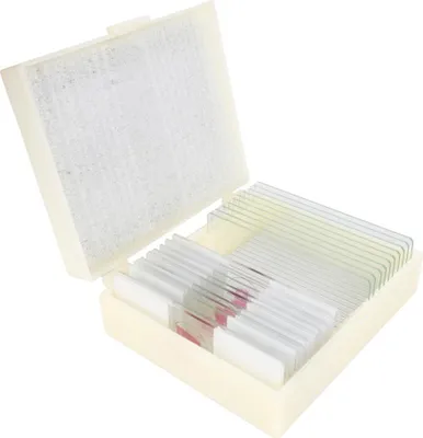Image de Kit de préparation pour cônes, une goutte d'eau (10 pièces)