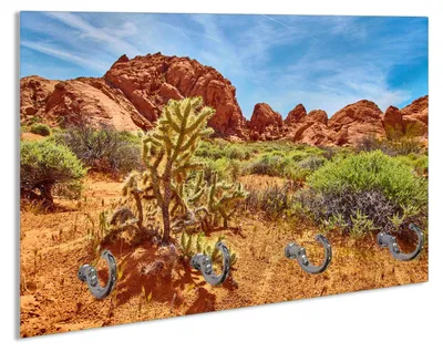 Produktbild von Wallario Schlüsselbrett aus Glas, Motiv: Felsenwüste, 30 x 20 cm mit 4 Haken