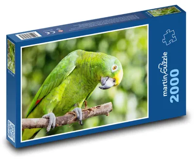 Obrázok produktu pre Puzzle 2000 Papagáj - Amazónik žltočelý - martinpuzzle