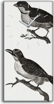 Produktbild von Wandbild Leinwand Bilder Wanduhr 30x60 Zeichnung Tier Vogel Zweig Kunst - weiße Hände