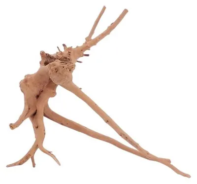Produktbild von M Moorkienwurzel Nr.4418 Holz Deko Aquascaping