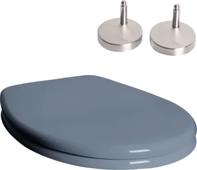 A gray toilet seat and two silver mounting hardware pieces are shown against a white background.