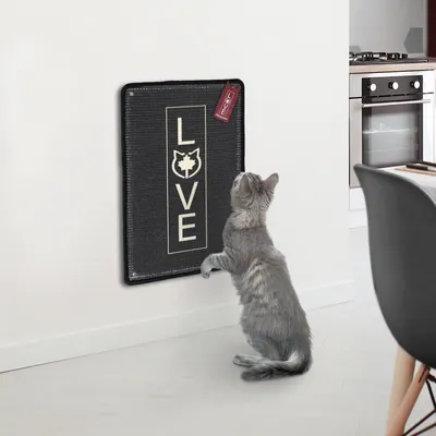 Produktbild von Kratzteppich für Katzen · anthrazit · 40 x 60 cm · mit Wandbefestigung