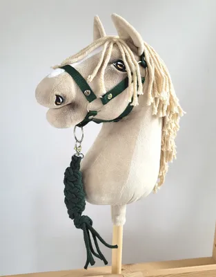 Produktbild von Hobby Horse Set: A3 Halfter + Seilleine - Flaschengrün