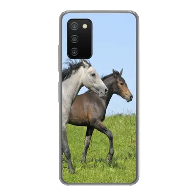 Produktbild von MuchoWow® Handyhülle Schutzhülle Hülle für Samsung Galaxy A03s Pferde - Tiere - Gras Silikon Softcase Handy Hülle - Schutz