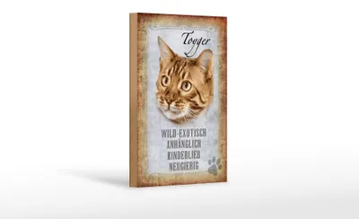 Produktbild von Holzschild Spruch 12x18cm Toyger Katze Schild