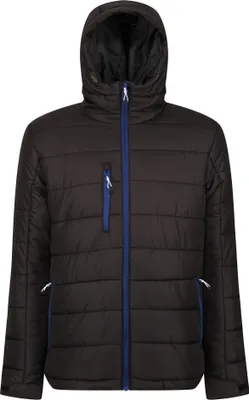 Produktbild von Regatta Professional - Steppjacke für Herren RG9401 (3XL) (Schwarz/Königsblau)