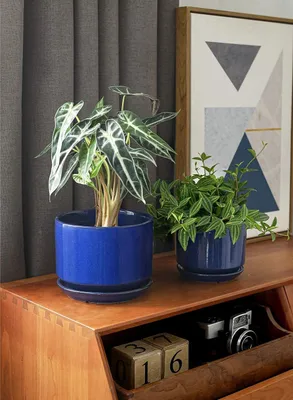 Produktbild von Moderne Blumentöpfe mit Drainage - Set von 3 - Saphirblau - Keramisch