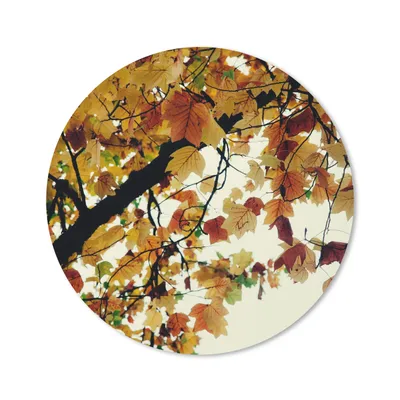 Produktbild von MuchoWow® Mauspad Mousepad Bäume - Herbstblätter - Natur 20x20 cm - Mousepads - Maus Mat - Pad - Mausunterlage - Schreibtischmatte