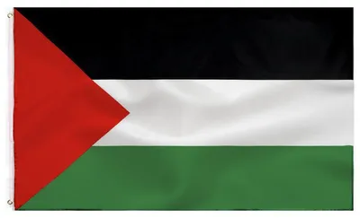 Produktbild von Palästinensische Flagge, 90 x 150 cm, aus Polyester mit Messingösen