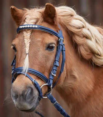 Produktbild von Waldhausen Trensenzaum Lucky Heart Reithalfter Shetty, Pony, Farbe:nachtblau, Größe:MSH