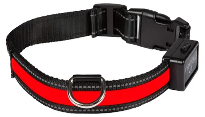 Obrázek produktu pro EYENIMAL svítící obojek USB RED - M