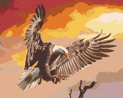 Produktbild von Zuty - Malen nach Zahlen - FLIEGENDER ADLER AUF ROTEM HINTERGRUND (D. RUSTY RUST), 40x50 cm, ohne Keilrahmen