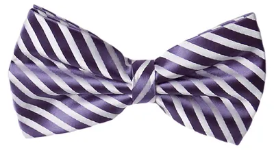 Produktbild von Fabio Farini - 1 Stück Violette Herren Fliegen - Männer Querbinder Vorgebunden Bowtie Streifen - Lila/Weiß - Iris Illusion/Sweet Bianca