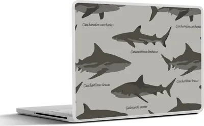 Produktbild von MuchoWow® Laptop Aufkleber Sticker Cover Muster - Hai - Meer 25x18 cm - Laptop-Deko