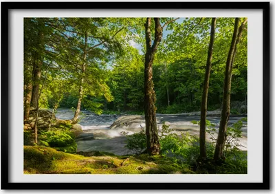 Produktbild von Bild - Bilderrahmen - 100 cm x 70 cm - MDF - Rahmen - Foto - Wandkunst Fluss in den Wald
