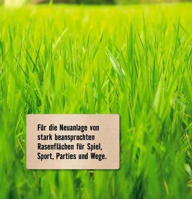 Produktbild von Strapazierrasen FloraSelf Select RSM 2.3 10 kg / 500 m²
